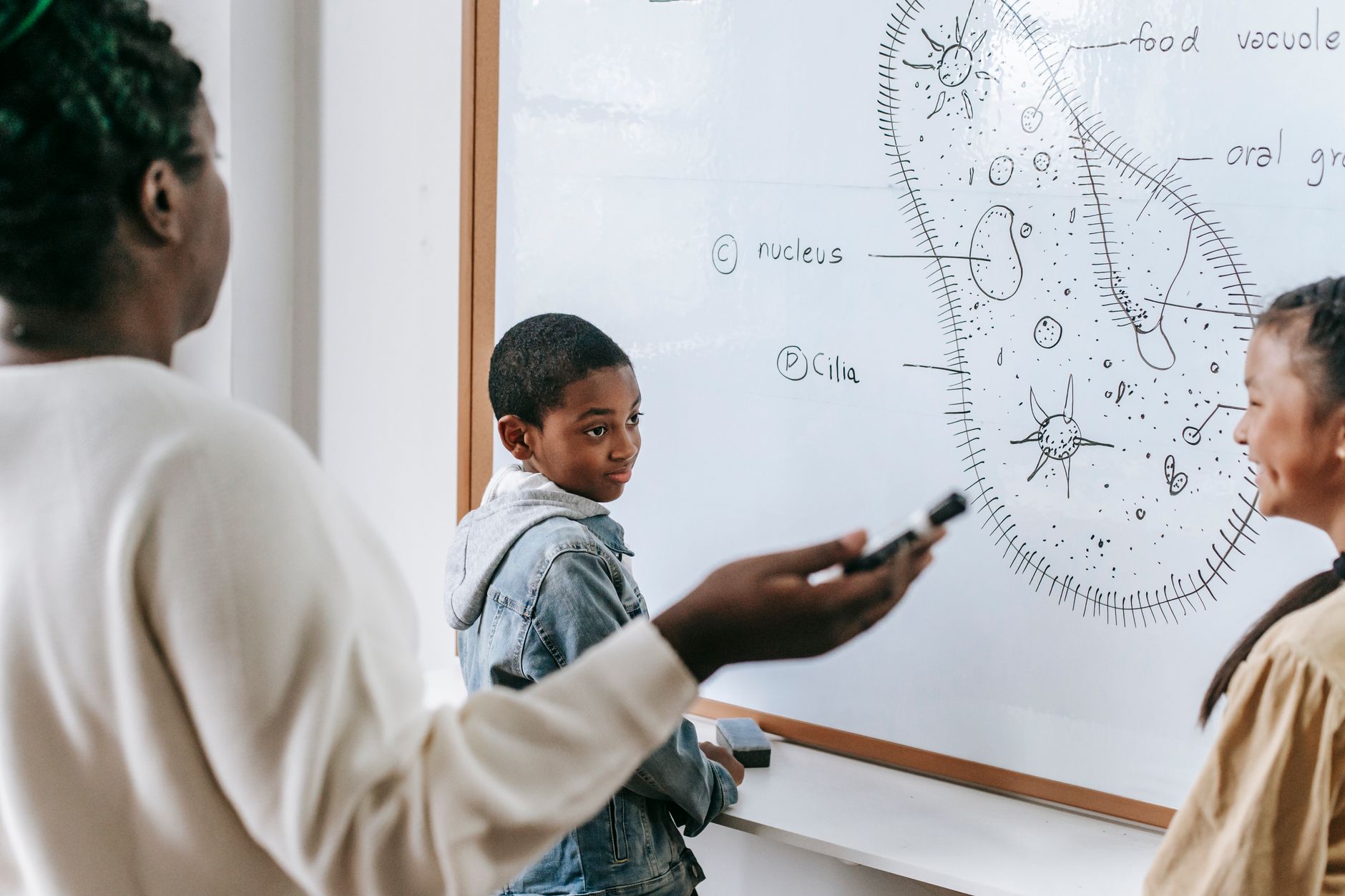 Students collaborating around a whiteboard on a group project, illustrating the project-based assessment model used across the applied degrees